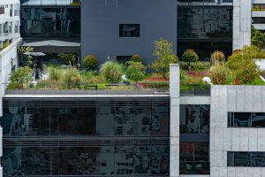 Lee más sobre el artículo Arquitectura bioclimática: qué es y sus características principales